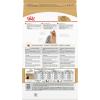 imageRoyal Canin Yorkshire Terrier Adult Dry Dog Food 10 lb bag10 Pound Pack of 1