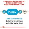 imageRoyal Canin Yorkshire Terrier Puppy Breed Specific Dry Dog Food 25 lb bagChicken