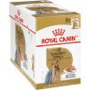 3 Ounce (Pack of 12)