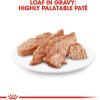 imageRoyal Canin Breed Health Nutrition Chihuahua Adult Loaf in Sauce Wet Dog Food 3 oz can 24count1 Count Pack of 12