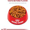 imageRoyal Canin Breed Health Nutrition French Bulldog Adult Dry Dog Food 17 lb bag17 Pound Pack of 1