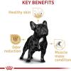 imageRoyal Canin Breed Health Nutrition French Bulldog Adult Dry Dog Food 17 lb bag17 Pound Pack of 1