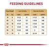 imageRoyal Canin Breed Health Nutrition French Bulldog Adult Dry Dog Food 17 lb bag17 Pound Pack of 1