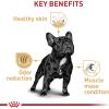 imageRoyal Canin Breed Health Nutrition French Bulldog Adult Dry Dog Food 17 lb bag30 Pound Pack of 1