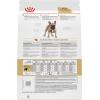 imageRoyal Canin Breed Health Nutrition French Bulldog Adult Dry Dog Food 17 lb bag30 Pound Pack of 1