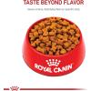 imageRoyal Canin Breed Health Nutrition German Shepherd Adult 5 Dry Dog Food 28 lb
