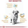 imageRoyal Canin Breed Health Nutrition Labrador Retriever Puppy Dry Dog Food 30 lbChicken