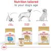 imageRoyal Canin Breed Health Nutrition Labrador Retriever Puppy Dry Dog Food 30 lbChicken