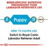 imageRoyal Canin Breed Health Nutrition Labrador Retriever Puppy Dry Dog Food 30 lbChicken