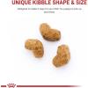 imageRoyal Canin Breed Health Nutrition Shih Tzu Puppy Dry Dog Food 25 lb