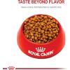 imageRoyal Canin Breed Health Nutrition Shih Tzu Puppy Dry Dog Food 25 lb