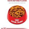 imageRoyal Canin Bulldog Adult Dry Dog Food 30 lb bag17 Pound Pack of 1