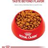 imageRoyal Canin Cavalier King Charles Spaniel Adult Breed Specific Dry Dog Food 10 lb bag10 Pound Pack of 1