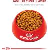 imageRoyal Canin Chihuahua Adult Breed Specific Dry Dog Food 25 lb Bag10 Pound Pack of 1