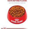 imageRoyal Canin French Bulldog Puppy Dry Dog Food 3 lb bagChicken