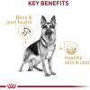 imageRoyal Canin German Shepherd Loaf in Sauce Canned Dog Food 135 oz can 12count