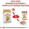 imageRoyal Canin German Shepherd Loaf in Sauce Canned Dog Food 135 oz can 12count