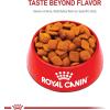 imageRoyal Canin Golden Retriever Adult Dry Dog Food 30 lb bag17 Pound Pack of 1
