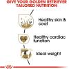 imageRoyal Canin Golden Retriever Adult Dry Dog Food 30 lb bag17 Pound Pack of 1