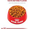 imageRoyal Canin Labrador Retriever Adult Breed Specific Dry Dog Food 17 lb bag17 Pound Pack of 1