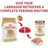 imageRoyal Canin Labrador Retriever Adult Breed Specific Dry Dog Food 17 lb bag17 Pound Pack of 1