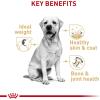 imageRoyal Canin Labrador Retriever Adult Breed Specific Dry Dog Food 17 lb bag17 Pound Pack of 1