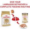 imageRoyal Canin Labrador Retriever Adult Dry Dog Food 30 lb bagChicken