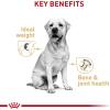 imageRoyal Canin Labrador Retriever Loaf in Sauce Canned Dog Food 135 oz can 12countChicken  Pork  Wheat