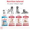 imageRoyal Canin Medium Breed Adult Dry Dog Food 17 lb bag4 Pound Pack of 1