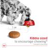 imageRoyal Canin Medium Breed Adult Dry Dog Food 17 lb bag4 Pound Pack of 1