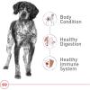 imageRoyal Canin Medium Breed Adult Dry Dog Food 17 lb bag40 Pound Pack of 1