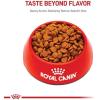 imageRoyal Canin Medium Digestive Care Dry Dog Food 30 lb bag17 Pound Pack of 1
