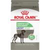 imageRoyal Canin Medium Digestive Care Dry Dog Food 30 lb bag30 Pound Pack of 1