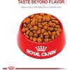 imageRoyal Canin Medium Digestive Care Dry Dog Food 30 lb bag6 Pound Pack of 1