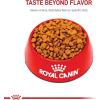 imageRoyal Canin Poodle Adult Breed Specific Dry Dog Food 10 lb bag10 Pound Pack of 1