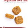 imageRoyal Canin Poodle Adult Breed Specific Dry Dog Food 10 lb bag10 Pound Pack of 1