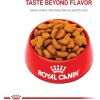 imageRoyal Canin Rottweiler Adult Breed Specific Dry Dog Food 30 lb bagChicken