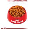 imageRoyal Canin Size Health Nutrition Medium Adult 7 Dry Dog Food 30lb Bag30 Pound Pack of 1
