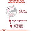 imageRoyal Canin Size Health Nutrition Medium Adult 7 Dry Dog Food 30lb Bag30 Pound Pack of 1