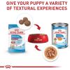 imageRoyal Canin Size Health Nutrition Medium Puppy Dry Dog Food 30 lb bag30 Pound Pack of 1