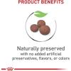 imageRoyal Canin Size Health Nutrition Medium Puppy Dry Dog Food 30 lb bag30 Pound Pack of 1