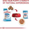 imageRoyal Canin Size Health Nutrition Medium Puppy Dry Dog Food 30 lb bag49 Ounce Pack of 10