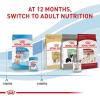 imageRoyal Canin Size Health Nutrition Medium Puppy Dry Dog Food 30 lb bag49 Ounce Pack of 10