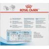 imageRoyal Canin Size Health Nutrition Medium Puppy Dry Dog Food 30 lb bag49 Ounce Pack of 10