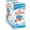 imageRoyal Canin Size Health Nutrition Medium Puppy Dry Dog Food 30 lb bag49 Ounce Pack of 10
