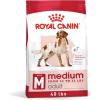 imageRoyal Canin Medium Breed Adult Dry Dog Food 17 lb bag40 Pound Pack of 1