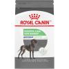 imageRoyal Canin Medium Digestive Care Dry Dog Food 30 lb bag6 Pound Pack of 1