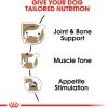imageRoyal Canin Breed Health Nutrition Dachshund Adult Loaf in Sauce Wet Dog Food 3 oz can 24Count