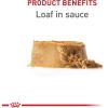 imageRoyal Canin Canine Health Nutrition Puppy Canned Dog Food 135 oz can 6packChicken