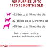 imageRoyal Canin Canine Health Nutrition Puppy Canned Dog Food 135 oz can 6packChicken